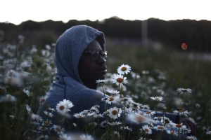 Image by Wellington Sanipe in Unsplash