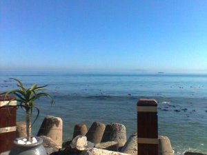 Photo0168